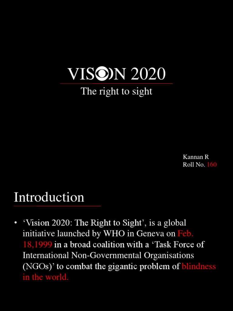 Vision 2020 | PDF