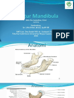 Fraktur Mandibula PPT