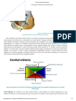 Cavidad Orbitaria (Anatomia)