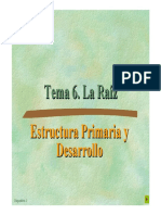 Tema 6b_La Raíz.pdf