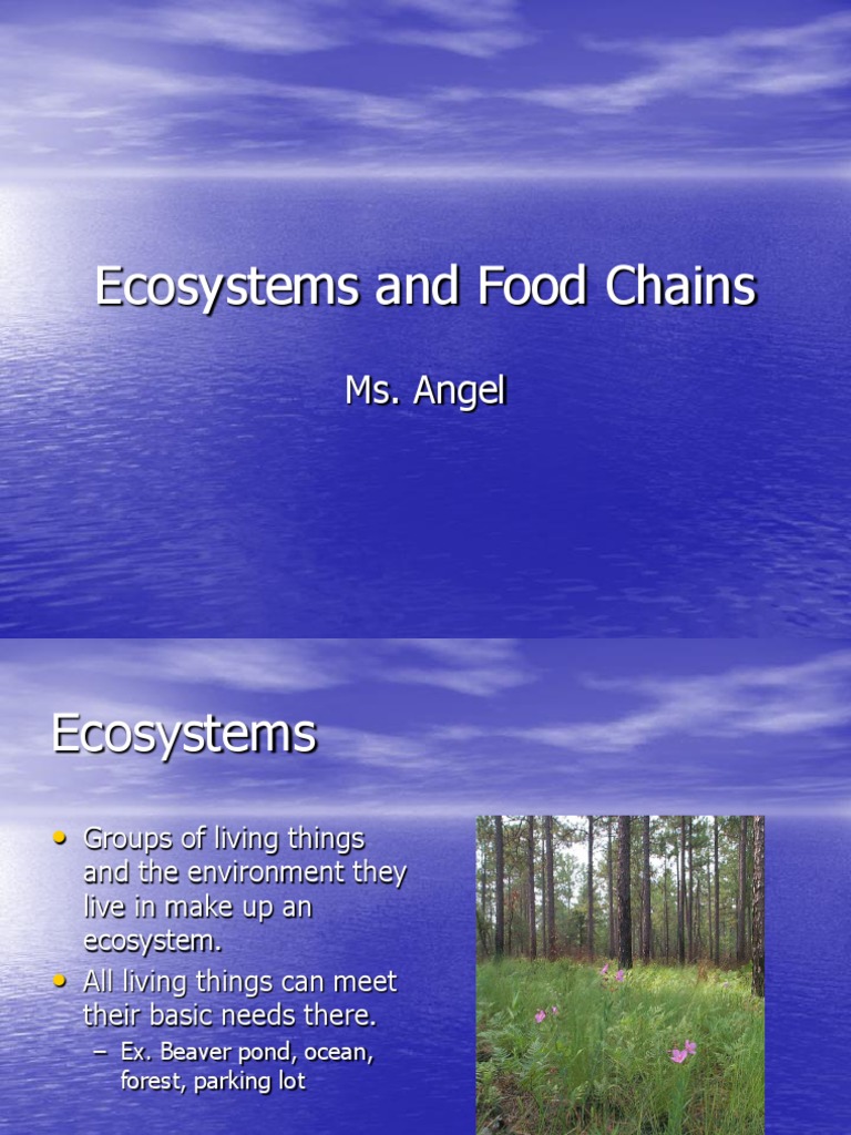 Ecosystems and Food Chains Biology Diagrams