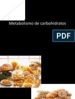 Metabolismo Carbohidratos