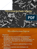 mycobacterium-leprae-1198634088856845-5