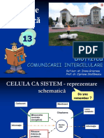 Curs - BF - 13 Part2 Comunicare Cel