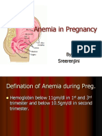 Anemia_Pregnancy.ppt