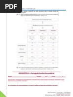 Newsletter_Português Secundário