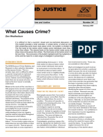 Causes of Crimes PDF