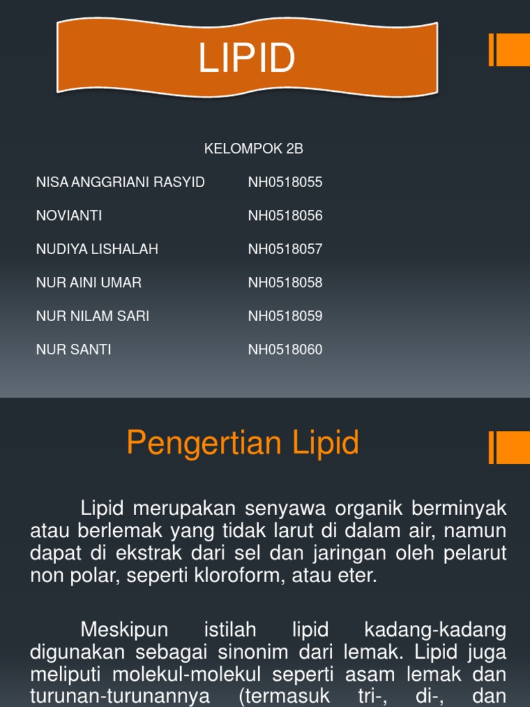Panduan Lengkap Tentang Lipid | PDF
