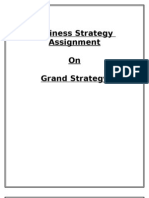 Business Strategy Assignment On Grand Strategy