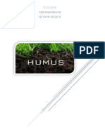 Cómo hacer humus casero para tus plantas