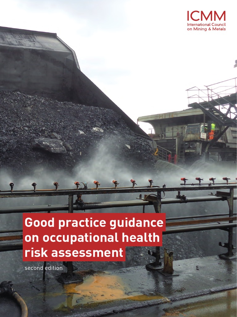 Health Risk Assessment PDF PDF Occupational Safety And Health