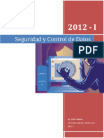 1 Seguridad y Control de Datos PDF