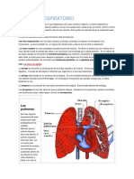 Aparato Respiratorio