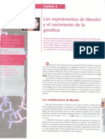 Curtis H, Barnes N S, Schenek A, Massarini A. (2008) - Biología. 7 Edición. Editorial Médica Panamericana. Buenos Aires. Cap 8