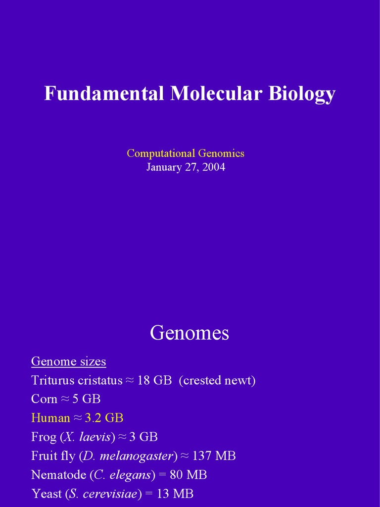 CMMB-Fund Mol Bio | PDF | Foreign Language Studies | Science & Mathematics