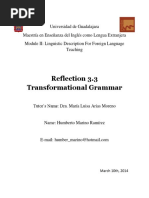 Reflection Transformational Grammar