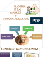 Clase # 2.-FISIOLOGIA DE LAS FOSAS