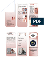 Leaflet SAP DPD