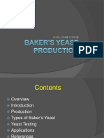 yeast-production