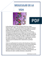 La Base Molecular de La Vida