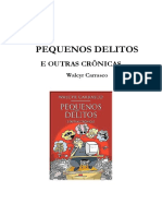 Pequenos Delitos e Outras Crônicas