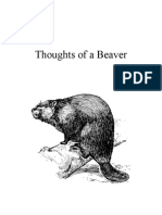 Thoughts of A Beaver