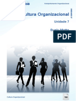 Cultura_Organizacional_Comportamento_Org (2).pdf