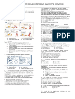 Evaluacion Diagnostica Quinto Grado