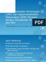 UKP Dan UKM Perawat