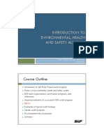 EHS Audit PDF