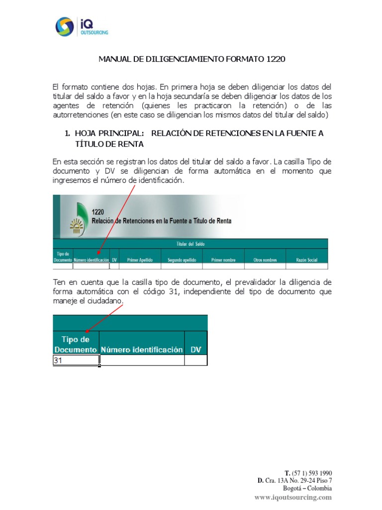 Manual para Diligenciar Formato 1220 | PDF | Informática | Informática ...