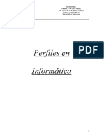 35 Perfiles Profesionales en Informática