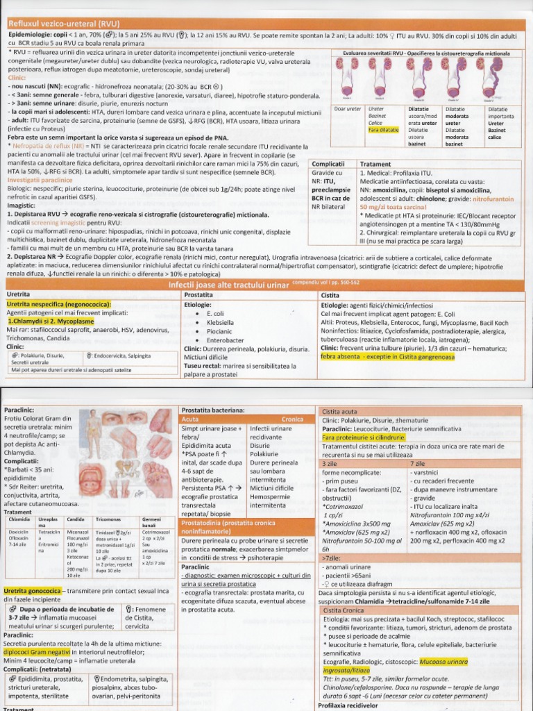 Free PSA - analiza medicala Synevo