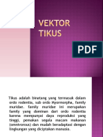 Vektor Tikus