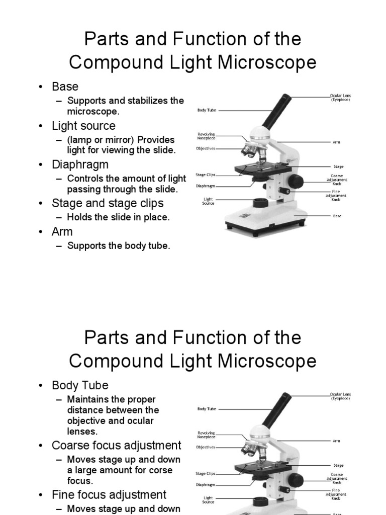 Parts and Function of The Microscope PDF