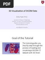3DVisualizationDICOM_Slicer4.8_SoniaPujol