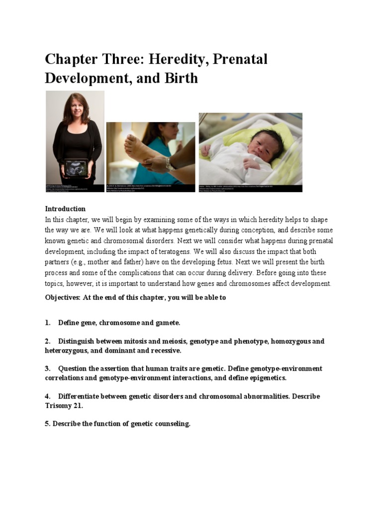 Chapter 3 Prenatal Development Beyer and Lazzara | PDF | Twin ...