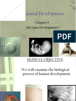 PrenatalDevelopment