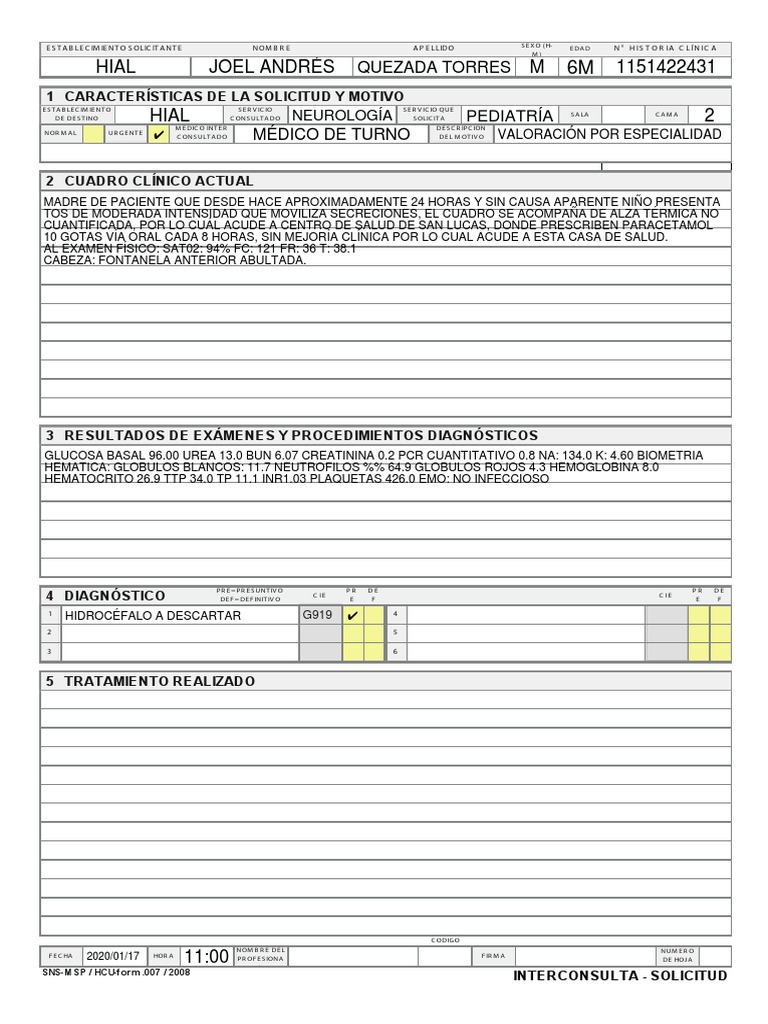Formulario de Interconsulta Pediátrica | PDF | Ciencias de la Salud ...