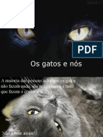 Avidasecretadosgatos_comsom