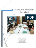 Tumbuhan Monokotil dan Dikotil