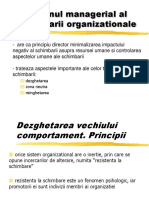 Schimbare organizationala.ppt