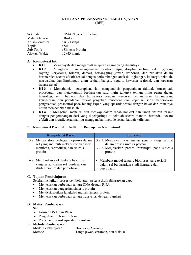 RPP Sintesis Protein | PDF