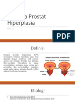 SGD 17_Benigna Prostat Hiperplasia