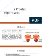 SGD 17 - Benigna Prostat Hiperplasia