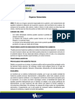 FORMACION DE SEGURIDAD Y SALUD LABORAL - 11. - Organos Sensoriales