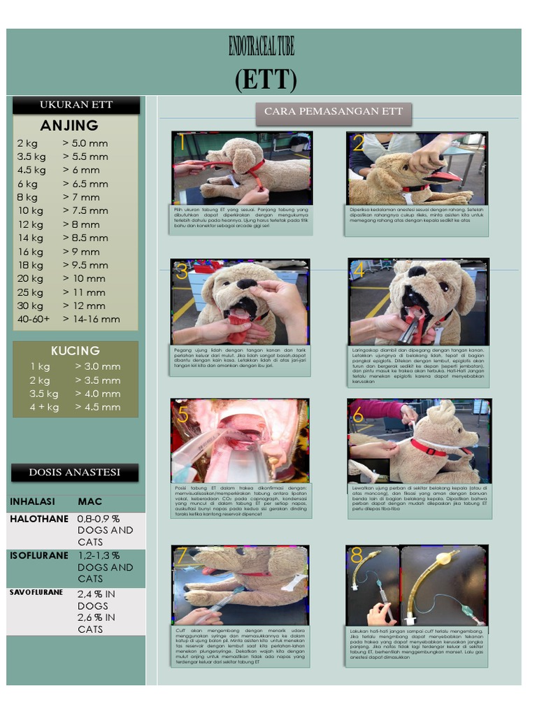 Endotracheal Tube | PDF