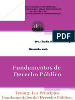 tema-3-los-principios-fundamentales-del-derecho-publico.pdf