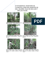 Registro Fotografico Componente Forestal