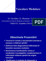 leziunivascmed.pdf